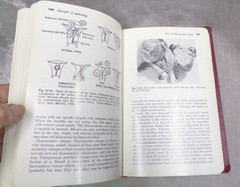 SYNOPSIS OF PATHOLOGY Seventh Ed ~ W.A.D. Anderson / Thomas Scotti ~ 1968 5th HC