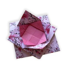 Origami Paper 500 sheets Cherry Blossoms 6 15 cm Tuttle Origami Paper Double-…