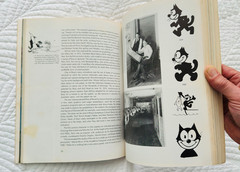 The Animated Raggedy Ann & Andy by John Canemaker 1977 1st Ed / Printing
