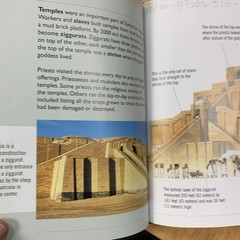 Sumerians by Jane Shuter (2008, Library Binding)