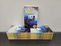 (19) Call It Courage by Armstrong Sperry Classroom Set PB Books Lot Newbery