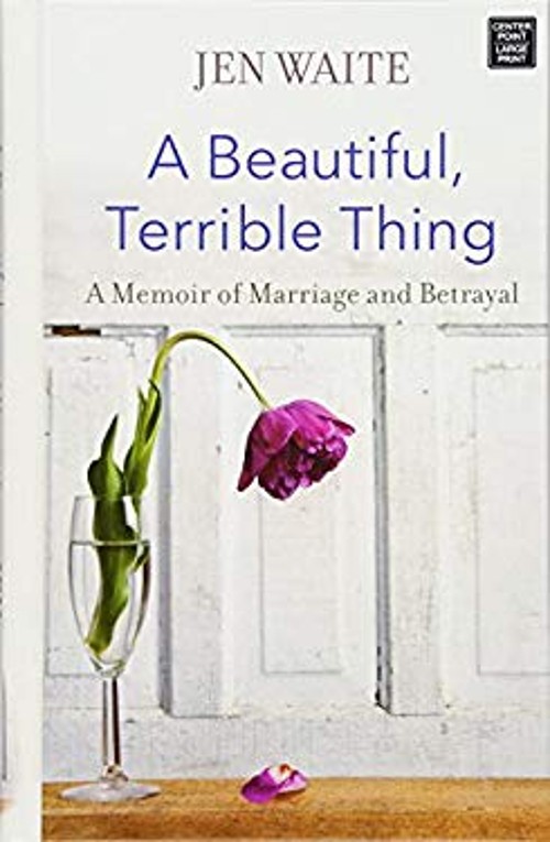 A Beautiful, Terrible Thing Library Binding Jen Waite