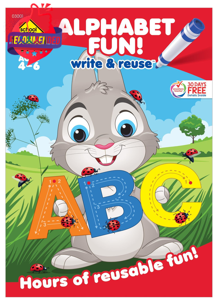 Alphabet Fun! Write & Reuse Workbook: 26 Wipe-clean Pages, Preschool