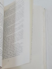 The Burning Library Essays Edmund White 1994 Alfred A Knopf Hardcover w/ Dust