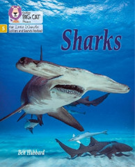 Ben Hubbard Sharks (Paperback)