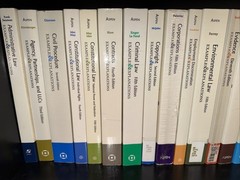 Examples & Explanations Lot 20 Books Contracts Tort Property Crim Cons Law
