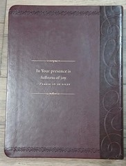 Jesus Always 365 Devotions Sarah Young Softback 2016 7×9” Like – New – Condition
