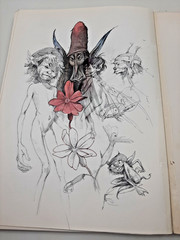 Vintage Faeries Book 1978 First Edition Printing Brian Froud Mythical Fairy Art