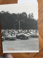 Herding Goats by Albert Drake 1989 Pontiac GTO Paperback BookPDMBK020