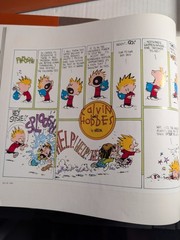 Complete Calvin and Hobbes by Bill Watterson (2005, Hardcover)