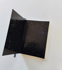 Christian Lacroix Paseo Silver Journal 4×5.75 Softcover Lined Notebook Paris New