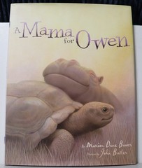 A Mama for Owen by Marion Dane Bauer (2007, Hardcover)