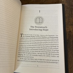 Scripture’s Story : A Unifying Hope by Mark McGinniss, Wayne Slusser, Jared Aug)