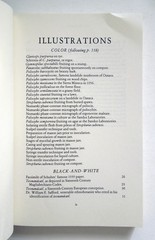 Teonanacatl: Hallucinogenic Mushrooms of North America – Ott, Bigwood, 1978 sc