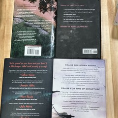 Hardcover Mystery/Thriller Bundle – 4 Novels – Dust Jackets – Adult Fiction
