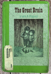 The Great Brain by John D. Fitzgerald HB 1978 – 8th printing Mercer Mayer