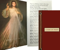 Litany Of Trust #25 Pc set Individual Catholic Prayer Cards Sealed Set