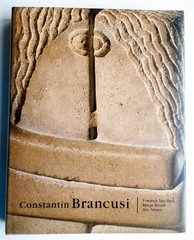 CONSTANTIN BRANCUSI Bach Rowell Temkin MIT Phil Mus. of Art HARDCOVER (Lot 167]