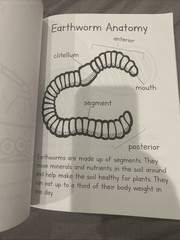 Book Age 4-8 Atom Magnet, Planets, OrganisInsects, Dino, Molecu Photosyn, DNA