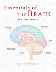 Essentials of the Brain: An Introductory Guide – Hardcover – VERY GOOD