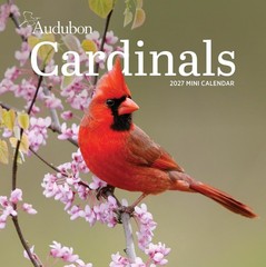 Audubon Cardinals Mini Wall Calendar 2027 Mini by Workman Publishing