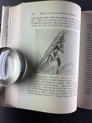Rip Darcy Adventurer Jack O’Brien 1938 HC DJ John C Winston Illustrated