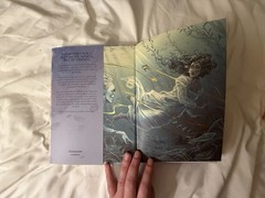 Illumicrate Elements of Cadence A River Enchanted / Fire Endless by Rebecca Ross