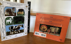 Native American Sign Language & Secret Alphabet of Navajo Marines Paperbacks
