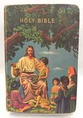 Holy Bible KJV Self-Pronouncing World Publishing Illustrated Cover Softcover