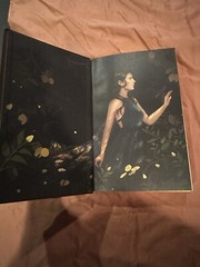 Fairyloot Exclusive – THIS VICIOUS GRACE by Emily Thiede – Signed HCDJ 1st Edit.