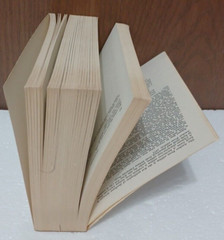SUNFLOWER SPLENDOR: THREE THOUSAND YEARS OF CHINESE POETRY by Wu-chi Liu
