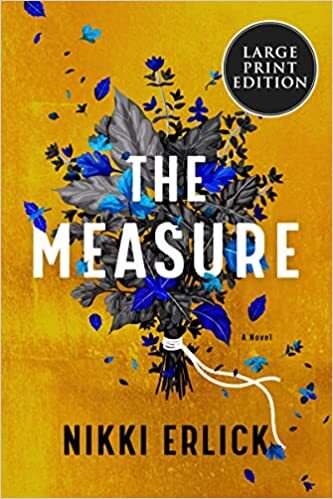 The Measure: A Novel Paperback – Large Print, June 28, 2022 by Nikki Erlick