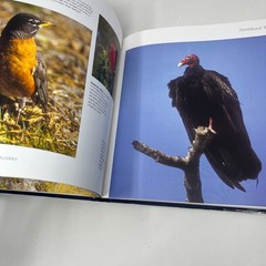 Natural Quarry: A Journey Across The U. S. by David Boag – Hardcover 2004