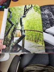 Big Book of Chic by Miles Redd (2012, Hardcover)