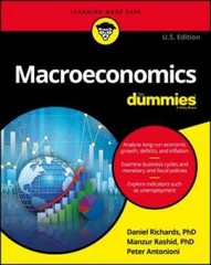 Macroeconomics For Dummies – Paperback By Richards, Dan – GOOD