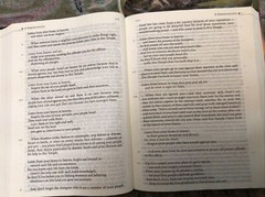 Message Bible-MS-Large Print Numbered: By Eugene H Peterson