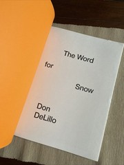 Don DeLillo/Richard Prince The World For Snow Karma Gallery PB Scarce 2014